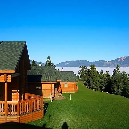 Kedros Village 3* Timfristos